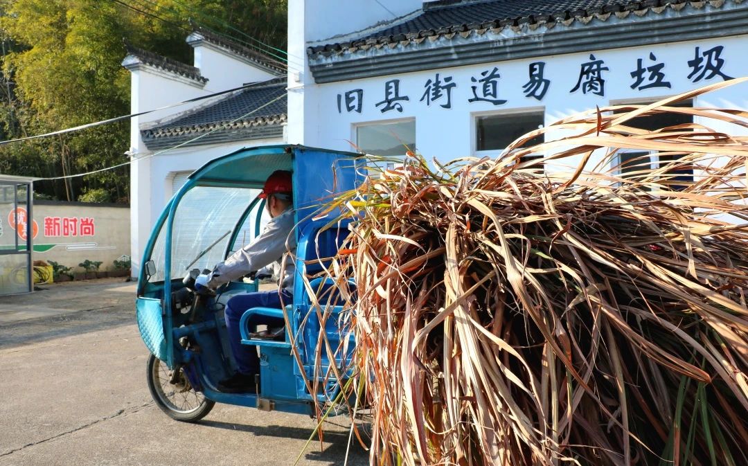 &#20061;&#28216;